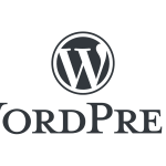 wordpress platformasi